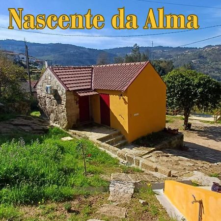 Nascente, Place In Nature Next To A Waterfall Loureiro  Esterno foto