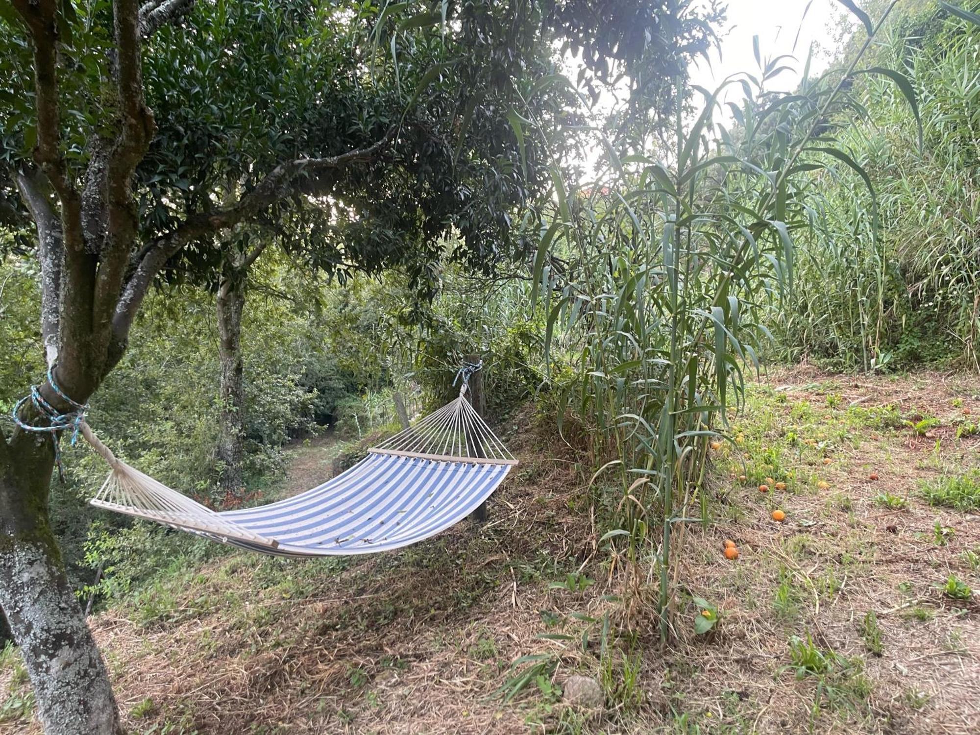 Nascente, Place In Nature Next To A Waterfall Loureiro  Esterno foto