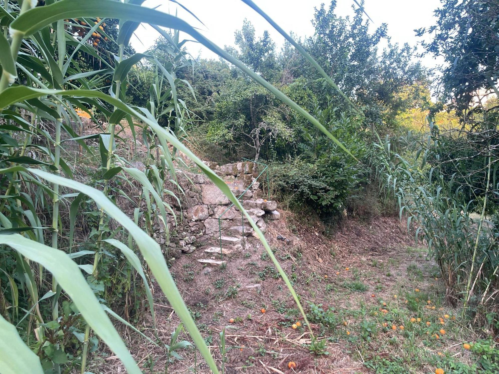 Nascente, Place In Nature Next To A Waterfall Loureiro  Esterno foto