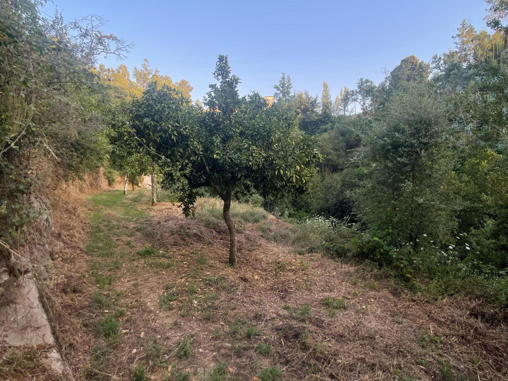 Nascente, Place In Nature Next To A Waterfall Loureiro  Esterno foto