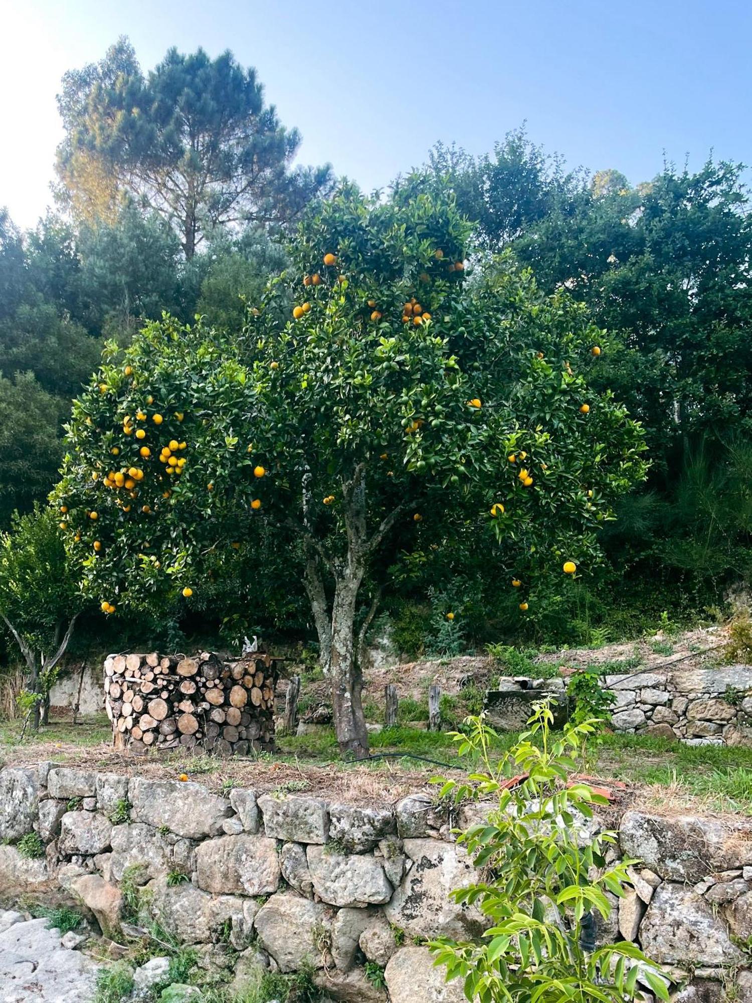 Nascente, Place In Nature Next To A Waterfall Loureiro  Esterno foto