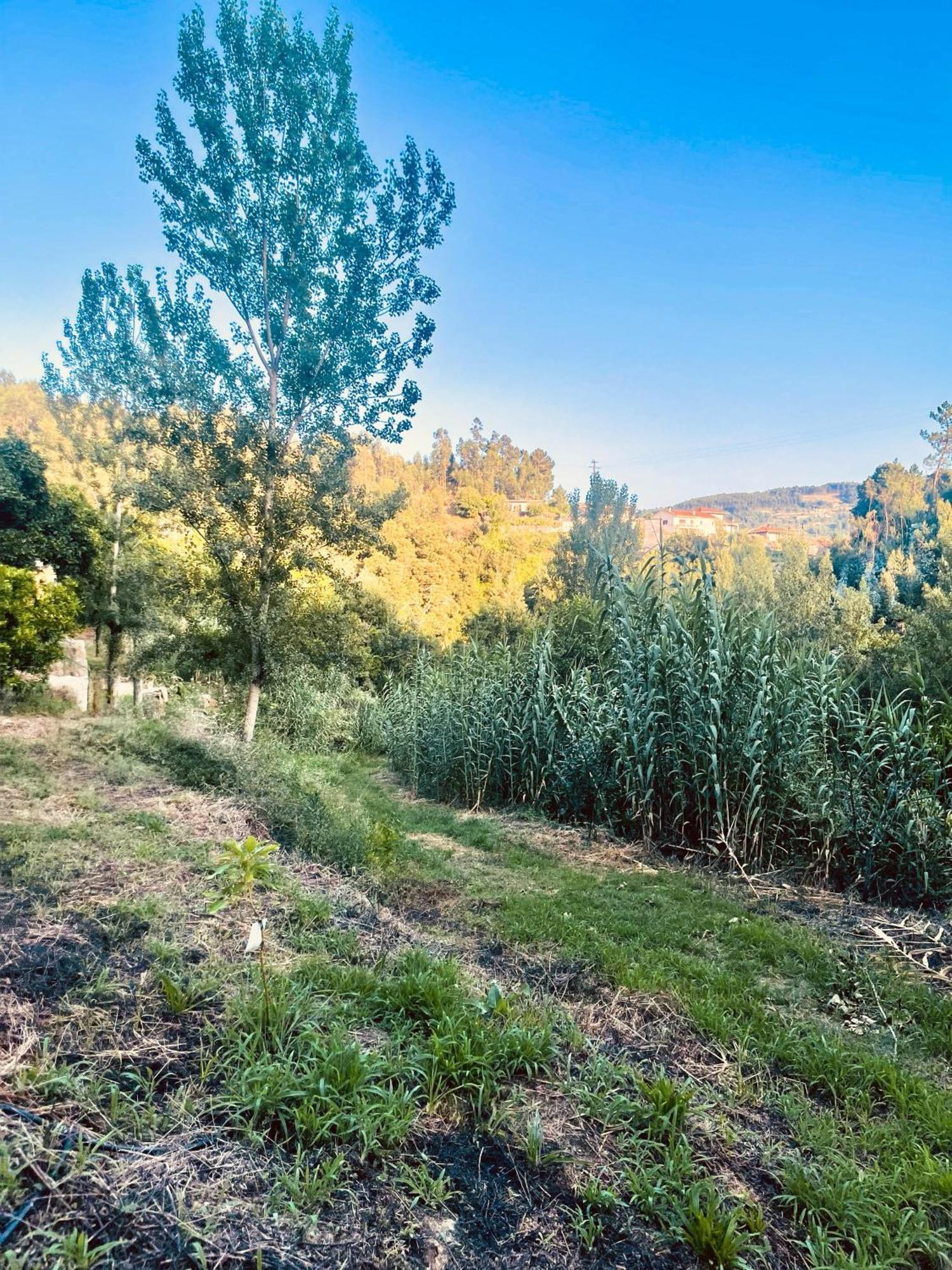 Nascente, Place In Nature Next To A Waterfall Loureiro  Esterno foto