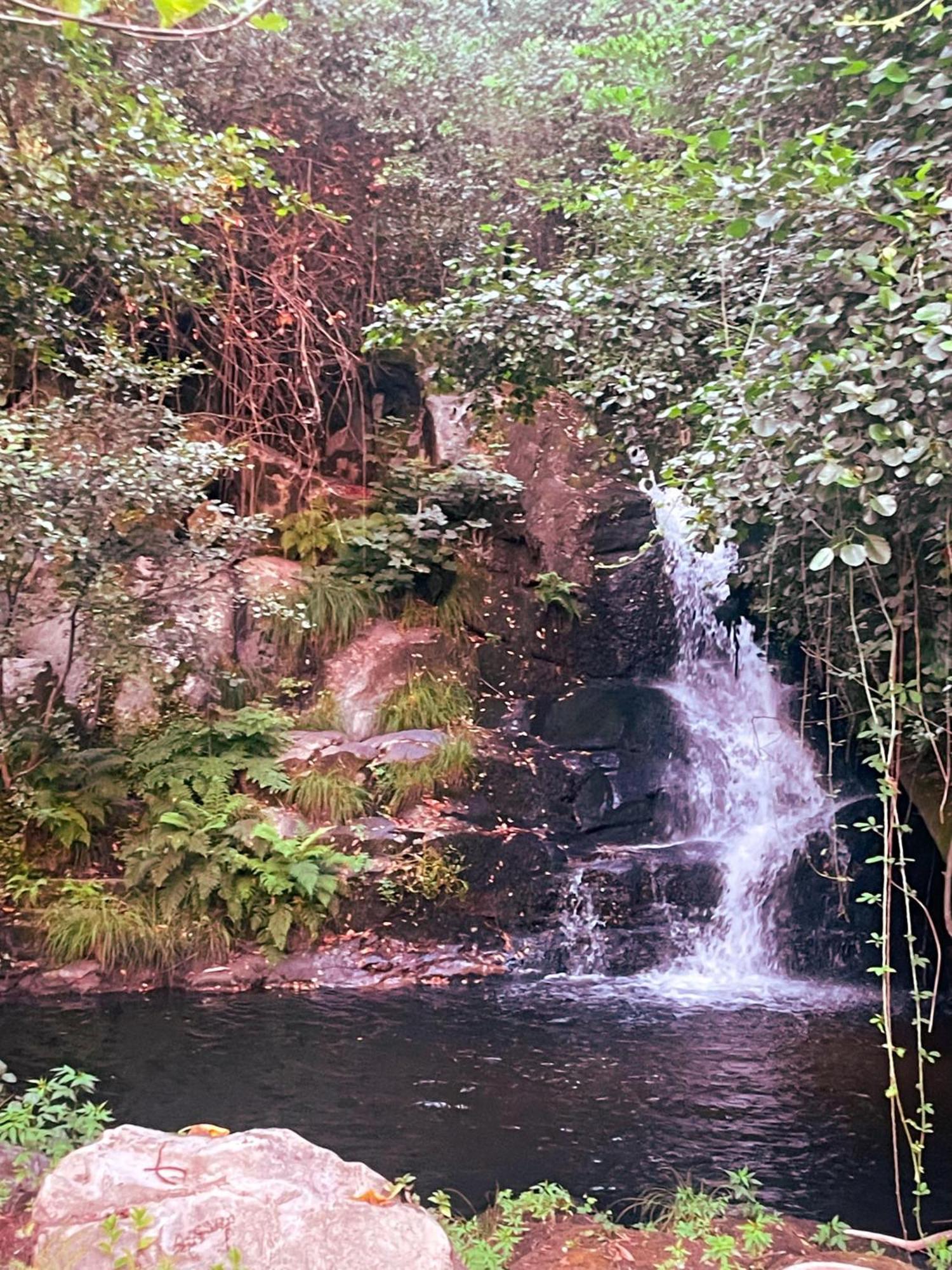 Nascente, Place In Nature Next To A Waterfall Loureiro  Esterno foto
